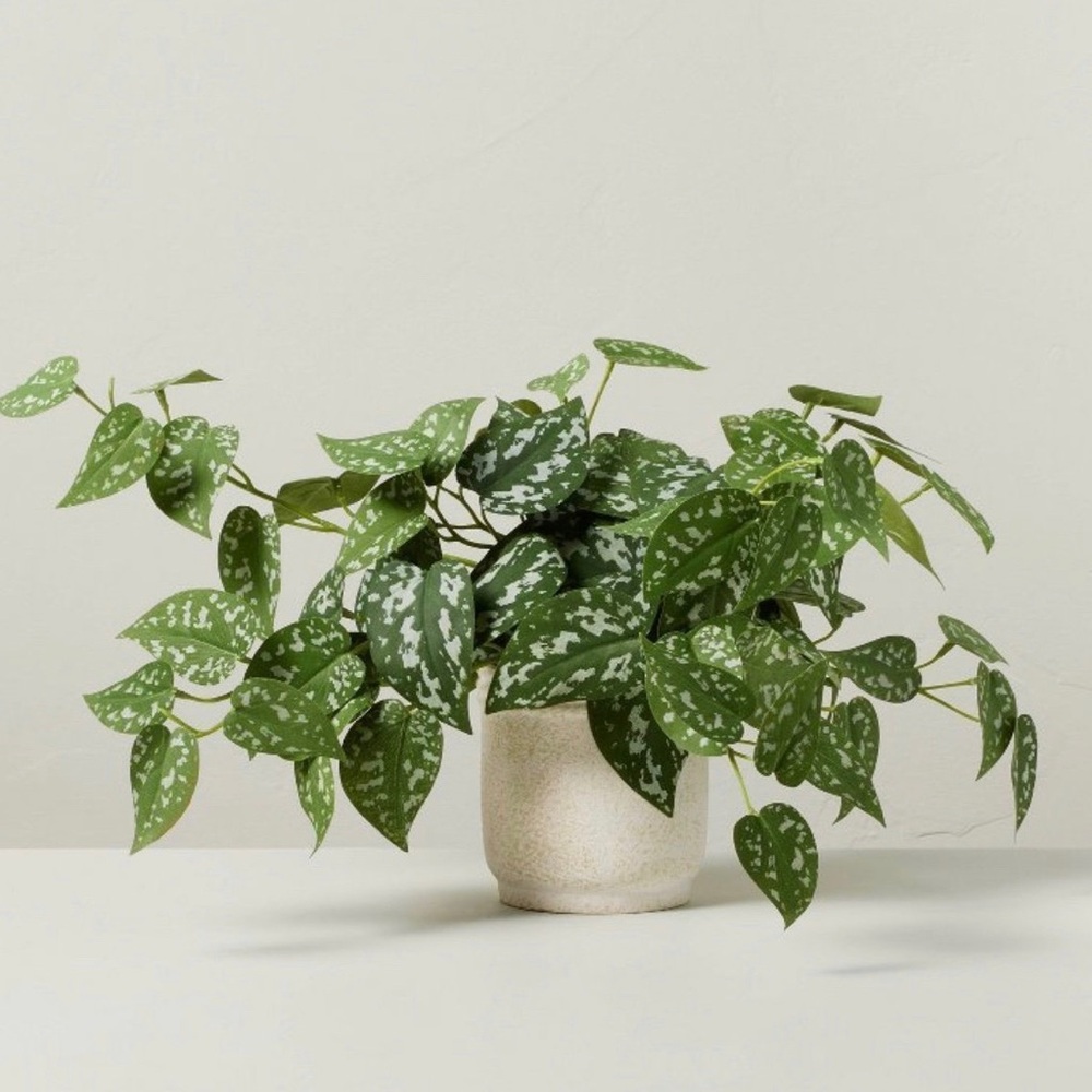 10” Faux Satin Variegated Pothos Plant - Hearth & Hand with Magnolia
